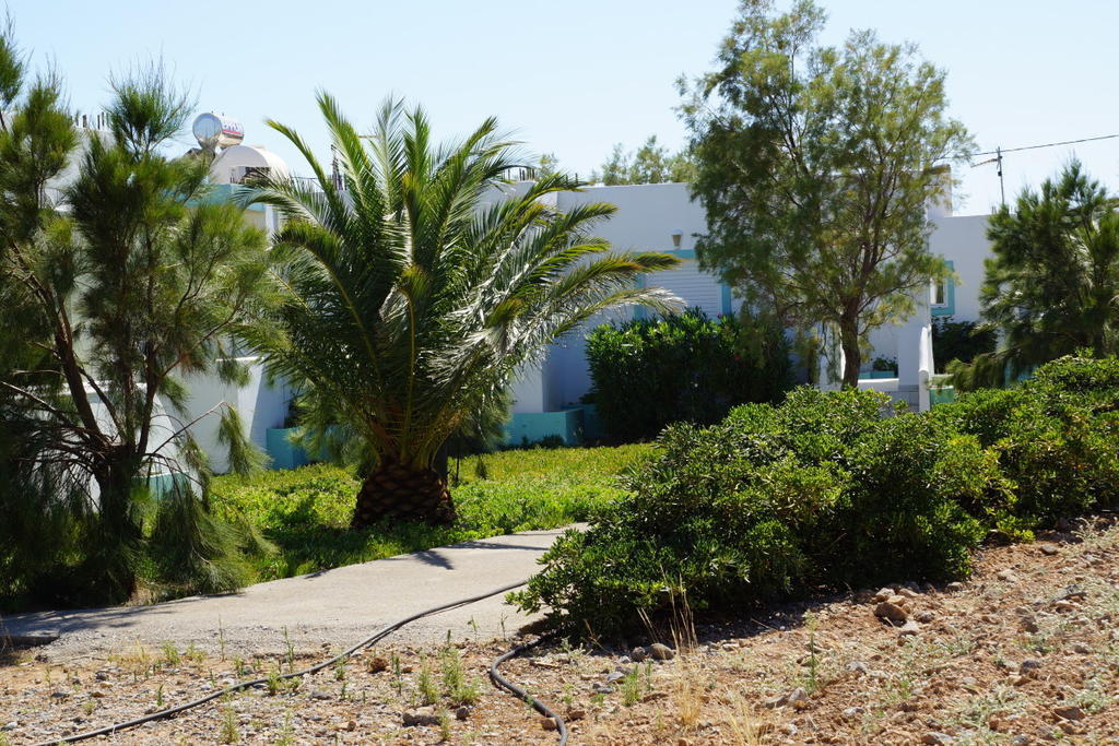 Notos Villas Frangokastello Rom bilde